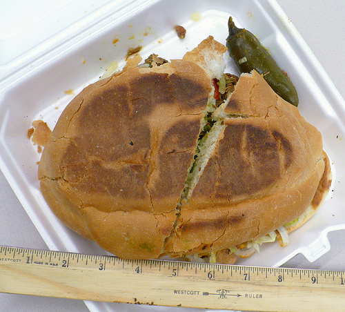 Las Tortugas