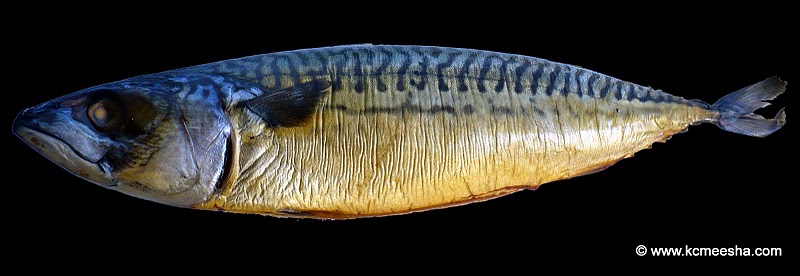 Found In The Russian Store:Smoked Mackerel 