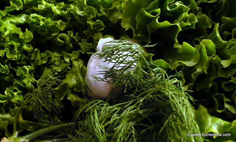 Spring Gourmet: Marinated Leaf Lettuce photo Spring Gourmet: Marinated Leaf Lettuce